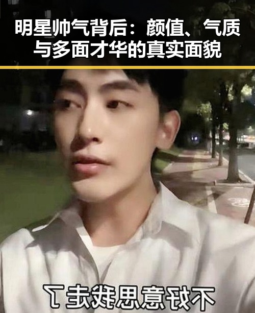 明星帅气背后：颜值、气质与多面才华的真实面貌