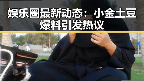 娱乐圈最新动态：小金土豆爆料引发热议