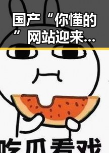 国产“你懂的”网站迎来新机遇,内容与发展持续深化