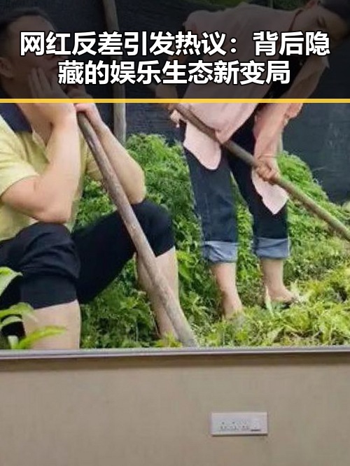 网红反差引发热议：背后隐藏的娱乐生态新变局