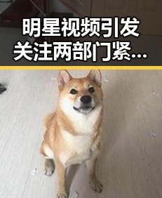 明星视频引发关注两部门紧急预拨1亿元支持抗灾工作