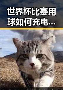 世界杯比赛用球如何充电引发关注大陆知名演员赴台交流成热议