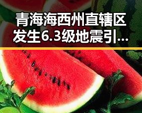 青海海西州直辖区发生6.3级地震引发网络热议,端午出游陷入“AI忽悠”陷阱引发关注