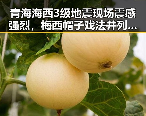 青海海西3级地震现场震感强烈,梅西帽子戏法并列世界杯射手王引发热议